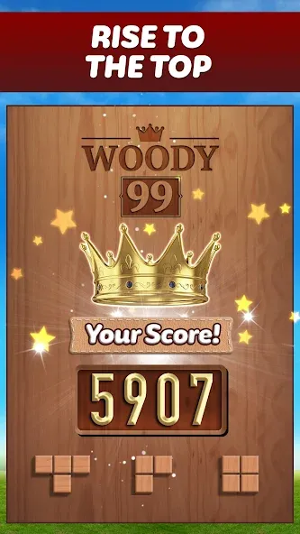 Woody 99 - Sudoku Block Puzzle (Вуди 99)  [МОД Много монет] Screenshot 5