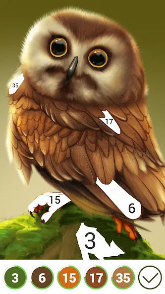 Hola Color--Coloring by Number (ола калор)  [МОД Меню] Screenshot 3