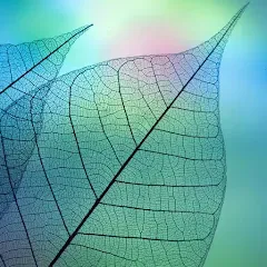 Скачать взломанную 780 words (семьсот восемьдесят)  [МОД Menu] - последняя версия apk на Андроид