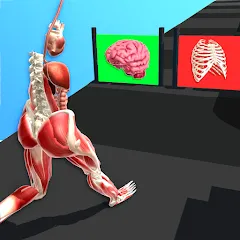 Скачать взлом Human Run (Хуман Ран)  [МОД Много монет] - стабильная версия apk на Андроид