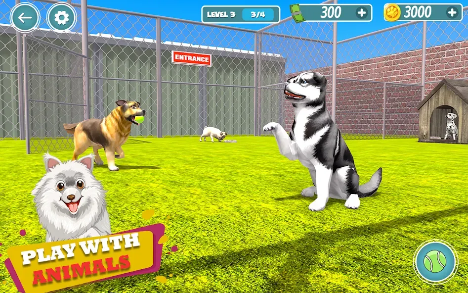 My Pet Animal Shelter World  [МОД Много монет] Screenshot 1