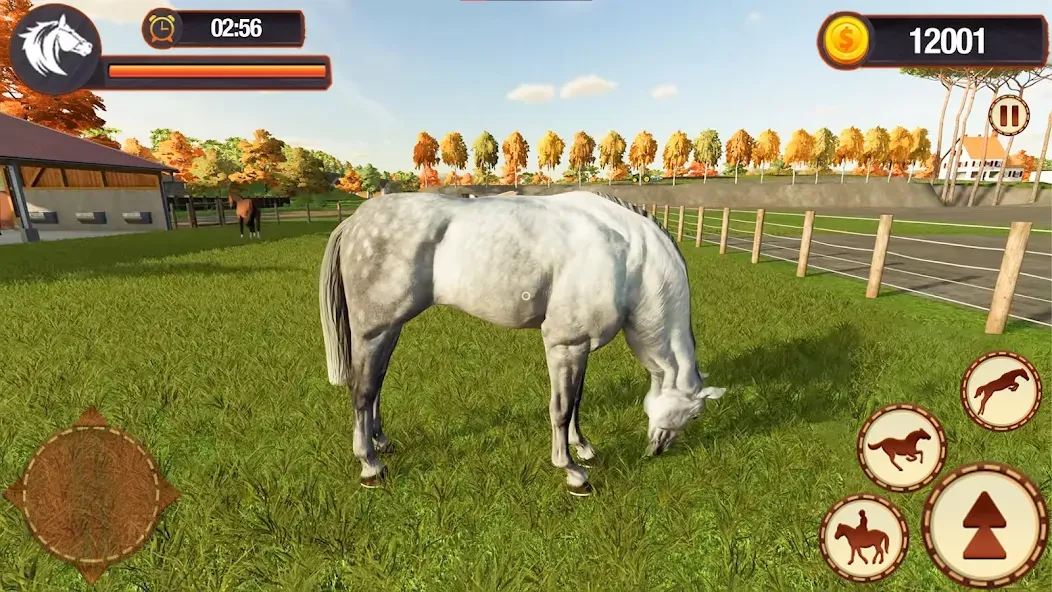 My Horse Herd Care Simulator (Мой симулятор ухода за стадом лошадей)  [МОД Бесконечные монеты] Screenshot 5