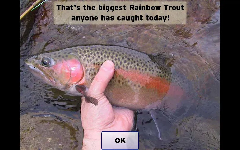 Fly Fishing Simulator (Флай Фишинг Симулятор)  [МОД Много денег] Screenshot 5