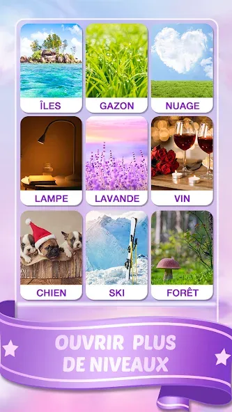 Mots Malins - Jeu de mots pro (Мо Малинс)  [МОД Menu] Screenshot 5