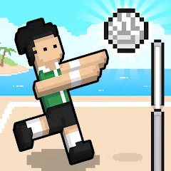 Взломанная Volley Random (Воллей Рэндом)  [МОД Много монет] - полная версия apk на Андроид