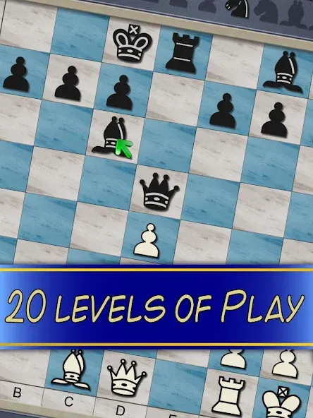 Chess V+ - board game of kings  [МОД Меню] Screenshot 5